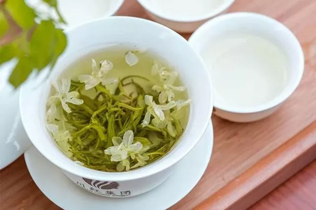 茉莉花茶是绿茶吗.png